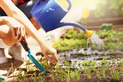 Professional hedge cutting for a Maidavale residential garden boundary