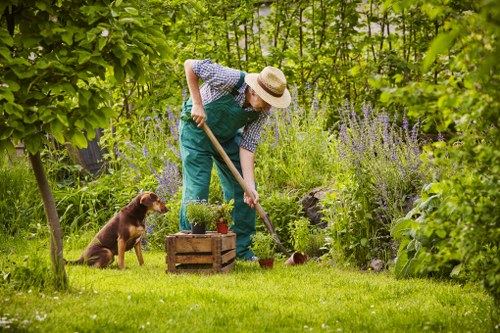 Tree Surgeons Maidavale website cookie policy illustration