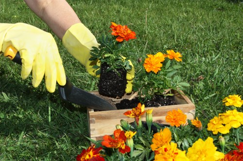 Load-based tree waste removal and cubic-yard pricing example