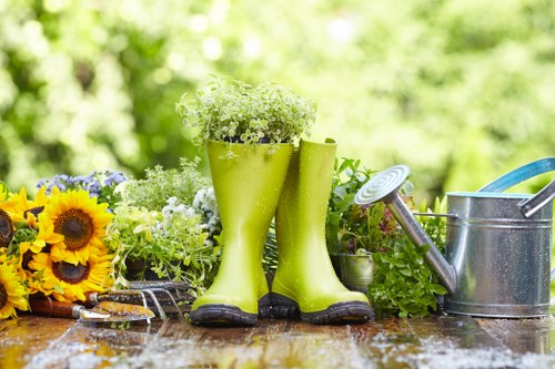 Complaint case being closed after review by a tree surgery company