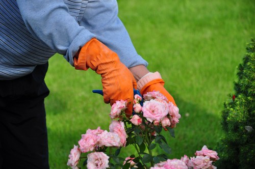 Accepted payment methods for Tree Surgeons Maidavale including card and PayPal options